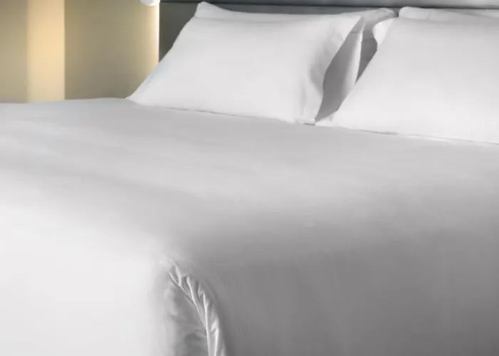 Hotel Nh Valle Dorado 4*